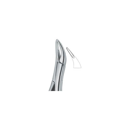 Tooth Ext Forceps Amr