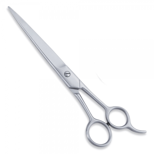 Economy Scissor